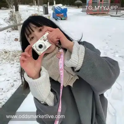 万桢翼